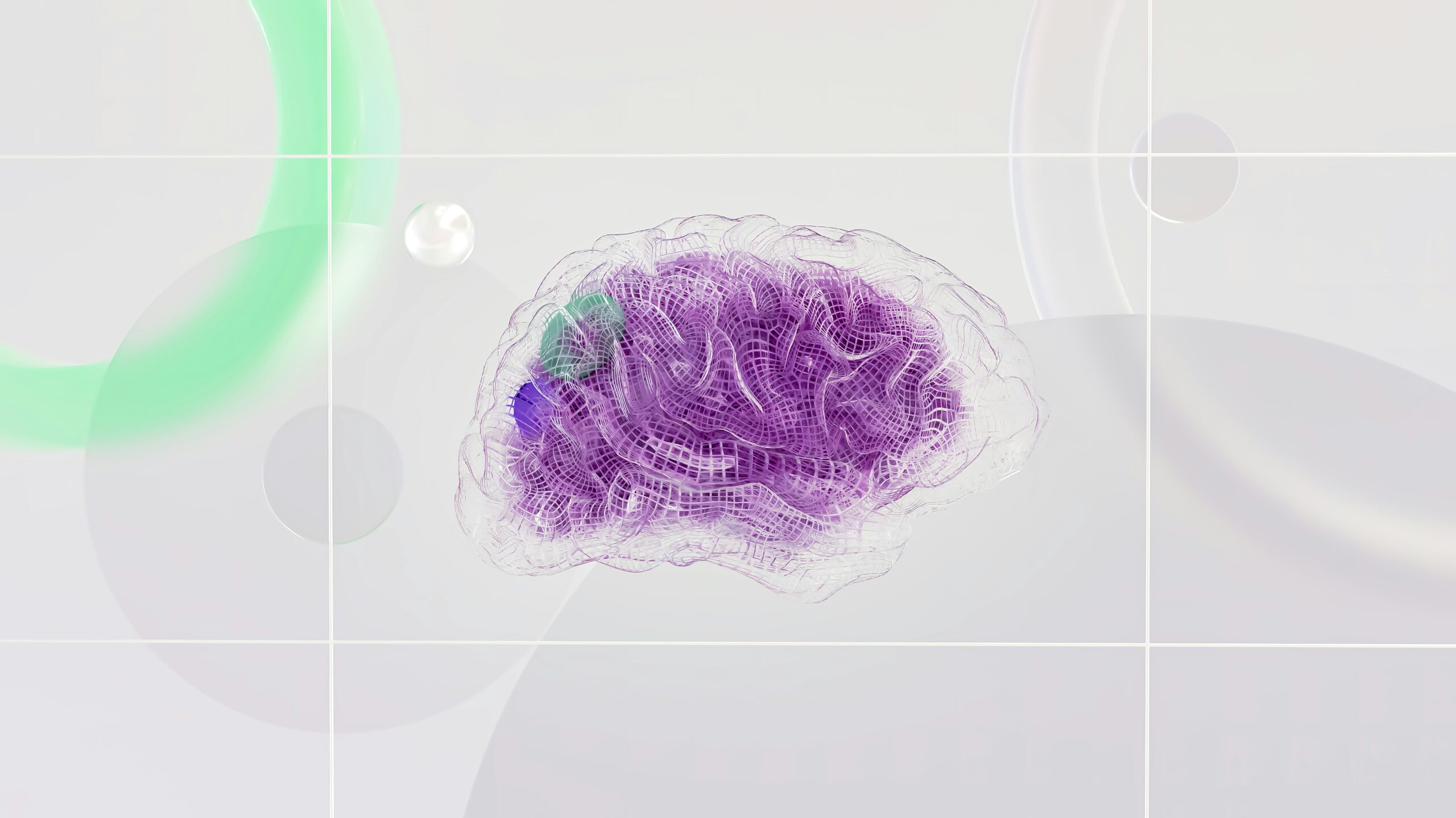 image of a brain in purple and transparent color