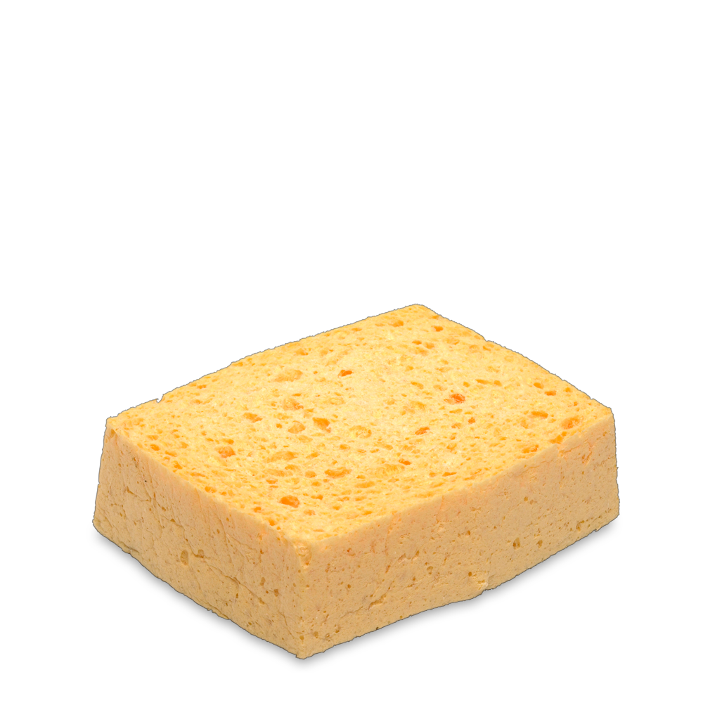 Tvättsvamp